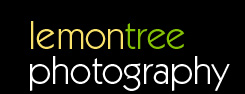 Lemontree Photography ~ Southampton, Hampshire Wedding Photographer logo