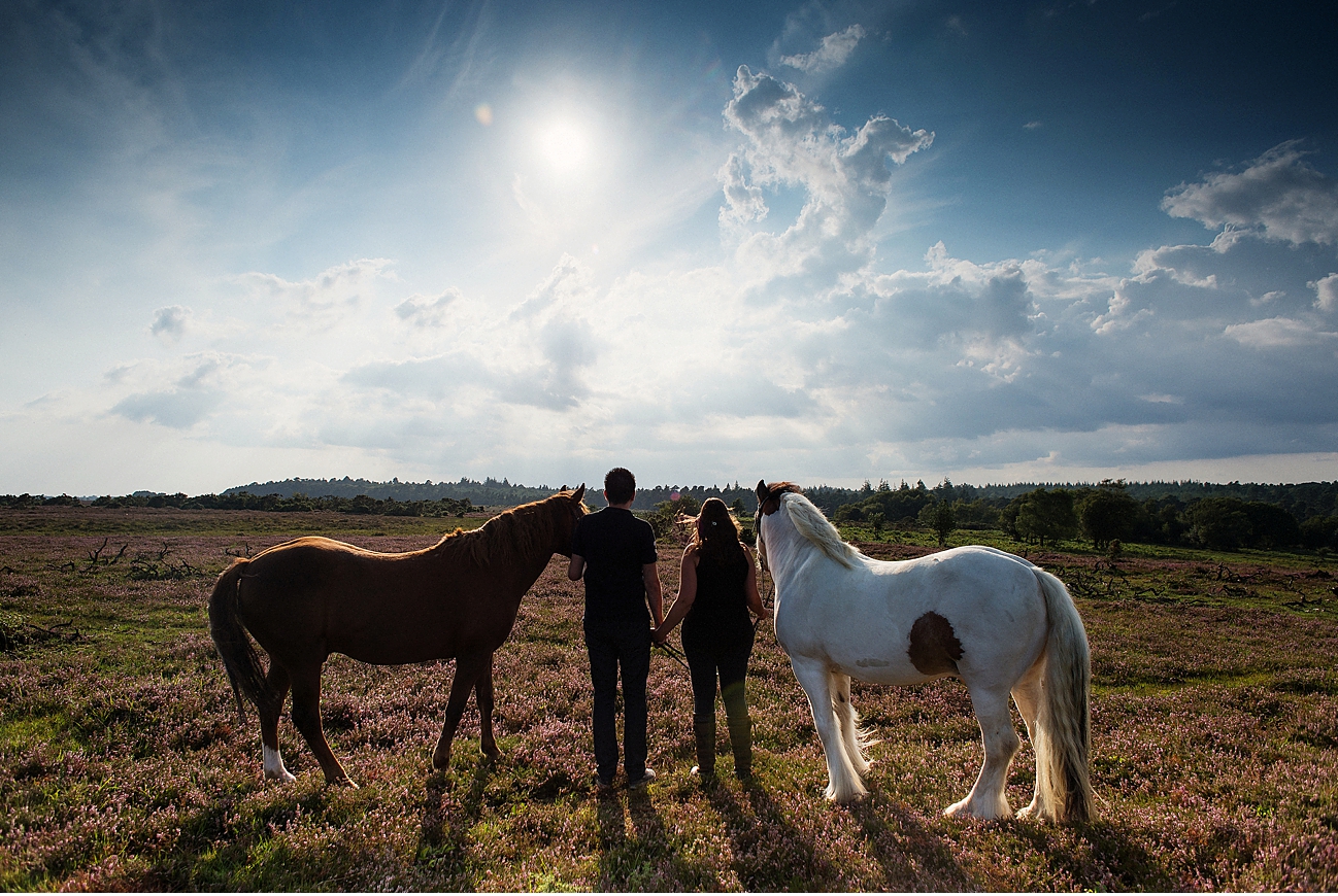 Equine Photography New Forest