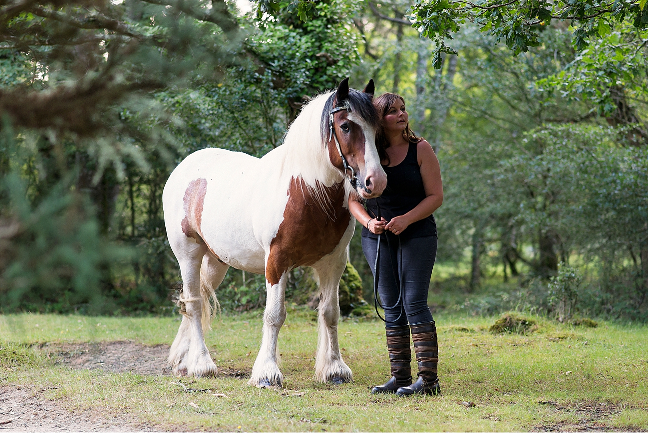 horse photography in hampshire