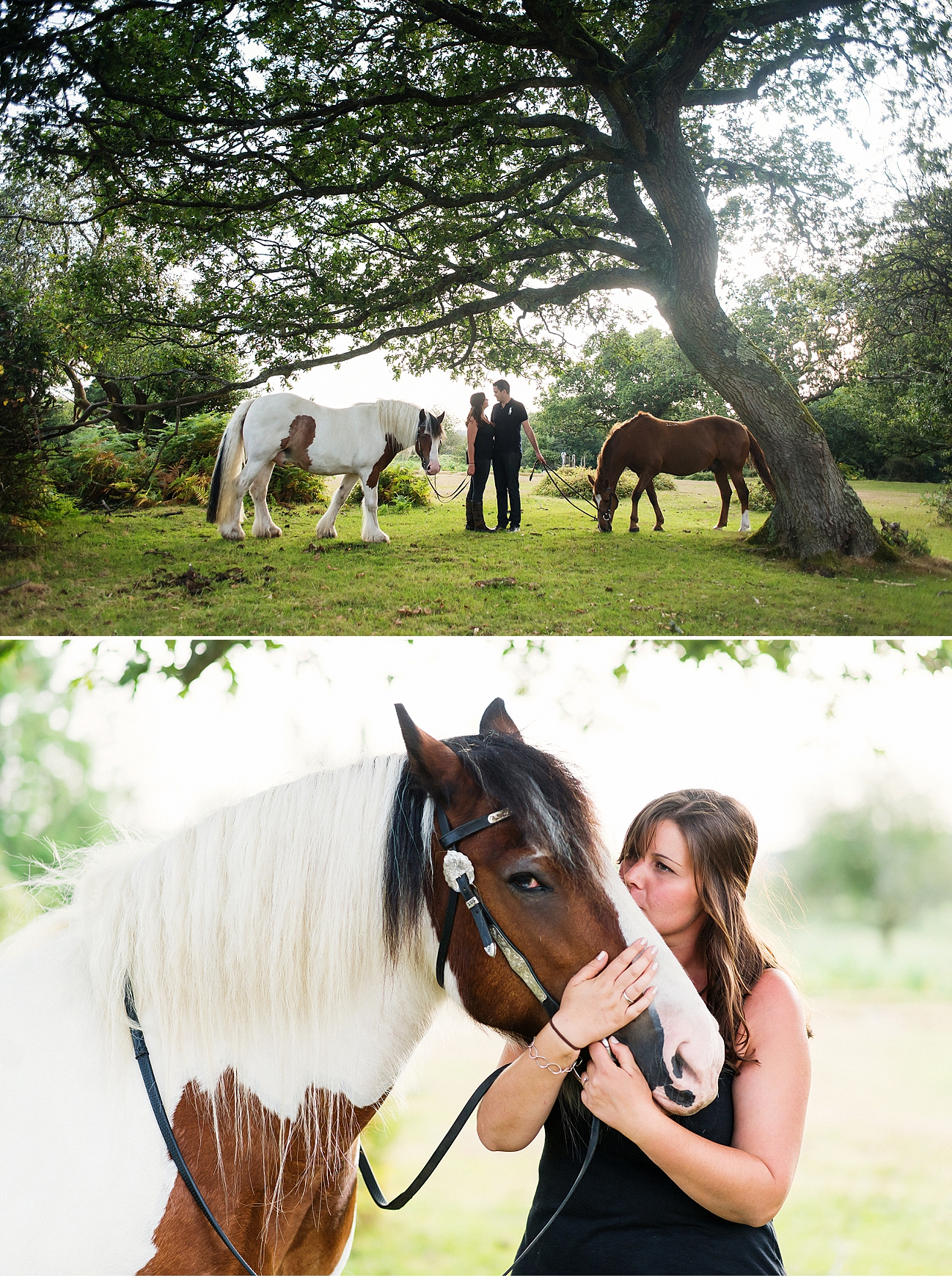 new forest equine photographer